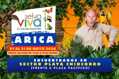Selva Viva On Tour -Playa Chicorro Arica - Animales